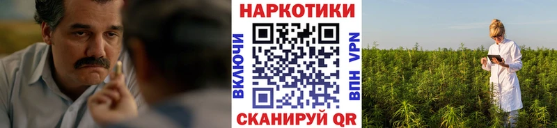 Где продают наркотики Минеральные Воды ГАШИШ  ГЕРОИН  СК  Мефедрон  Cocaine  Каннабис 