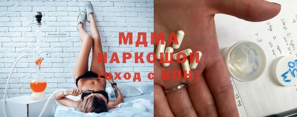 сатива Беломорск