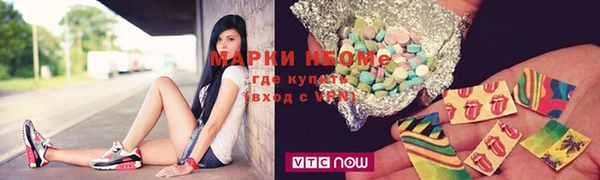 гидра Богородицк