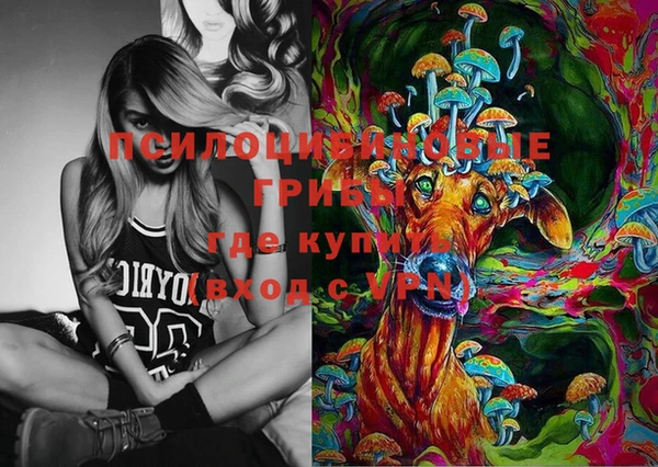 круглые Белокуриха