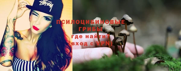 ПСИЛОЦИБИНОВЫЕ ГРИБЫ Баксан