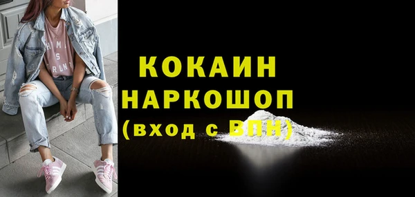 сатива Беломорск