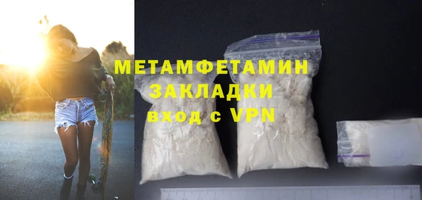 гидра Богородицк