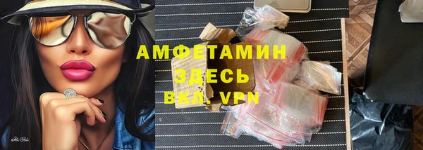 гидра Богородицк