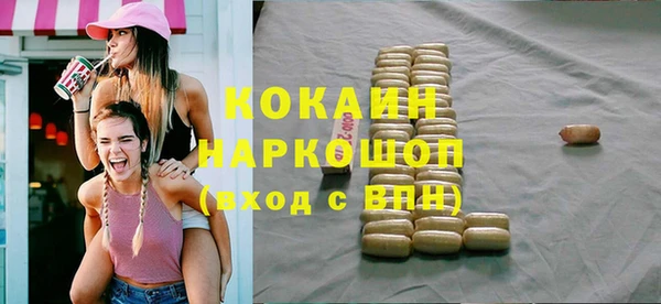сатива Беломорск