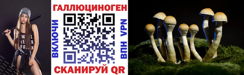 Псилоцибиновые грибы MAGIC MUSHROOMS Минеральные Воды